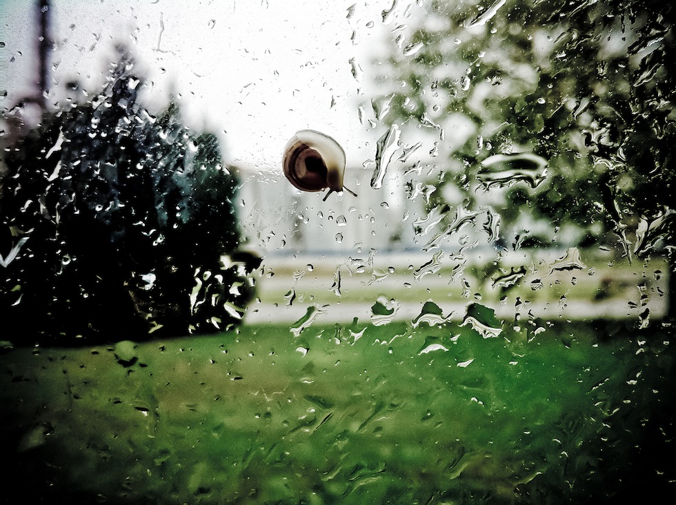 Penso a velocità ragionevole