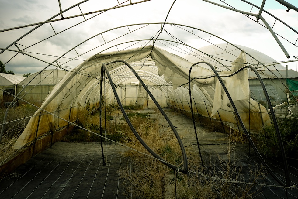 Diario di sogni e speranze