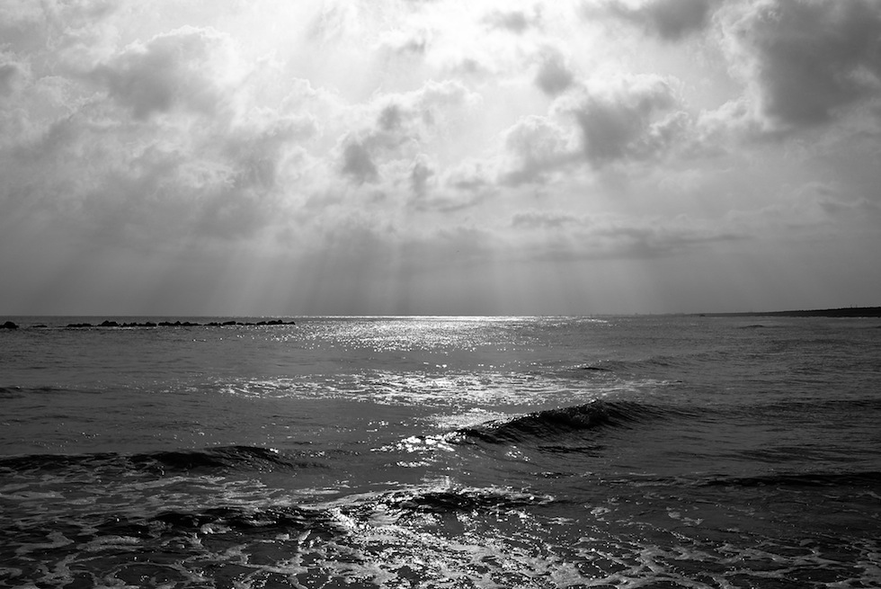 Solo una parte dei ricordi