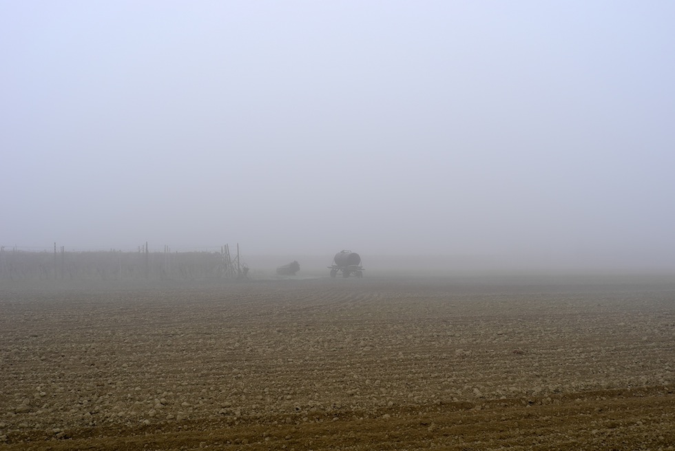 Cercando di mettere a fuoco