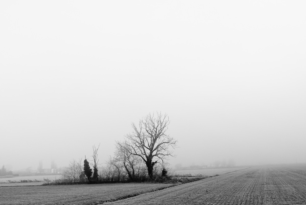 Splende in un istante