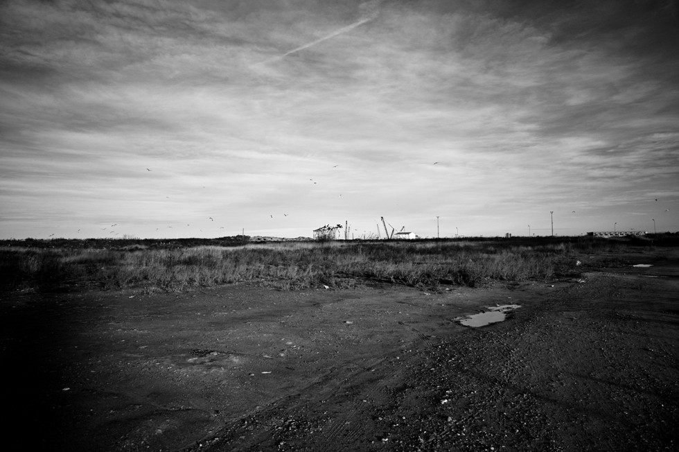 Questo è un sogno rassicurante