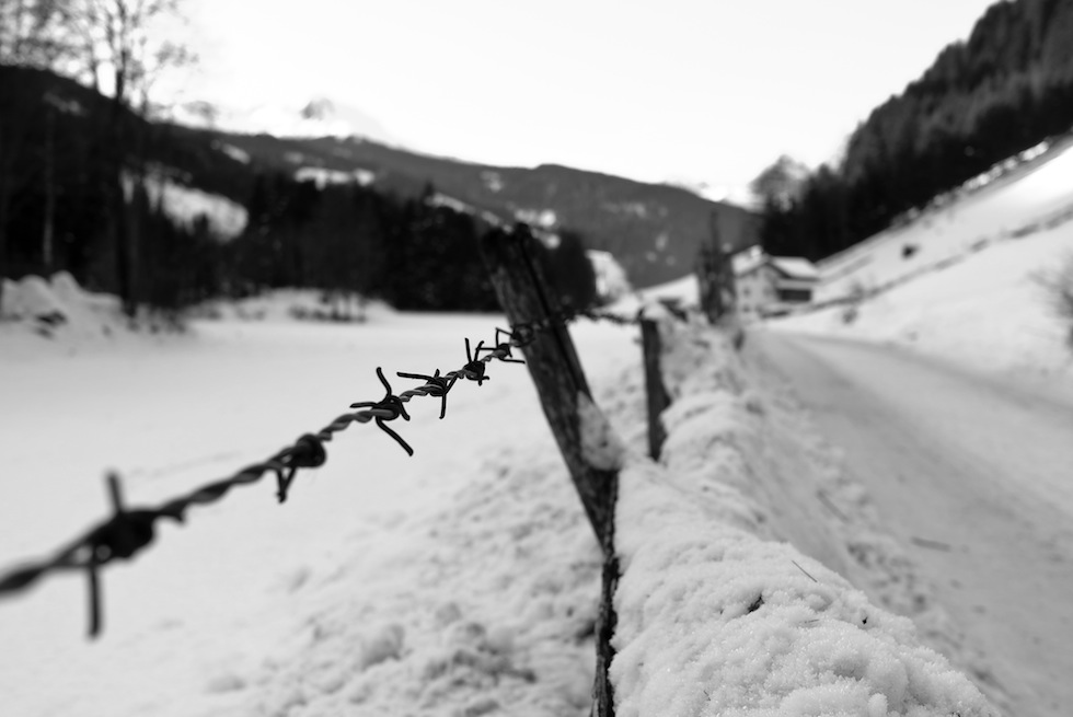 Piccola dose di Stelle