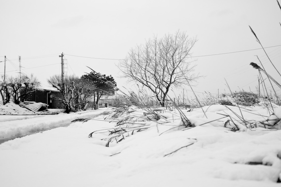 E venne il bianco a rivestirci
