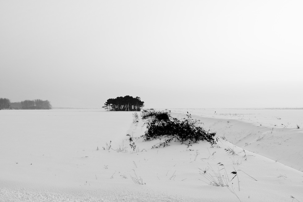 Tutto si muove piano