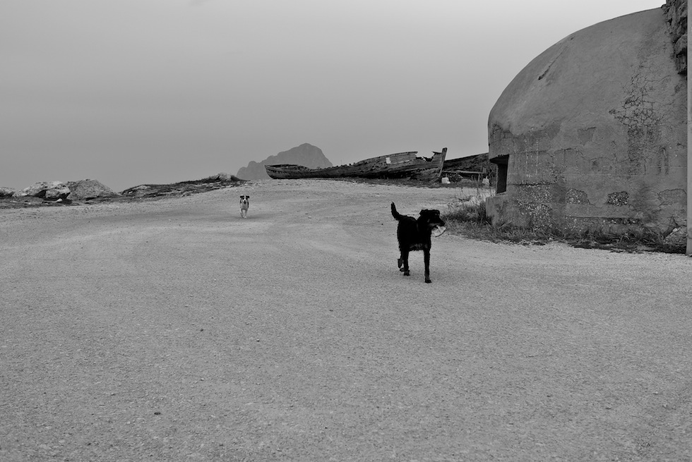 Dalla parte dei vinti