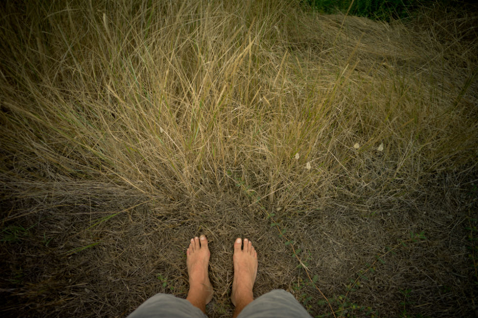 La nostra terra (ode alla bassa…ferita)