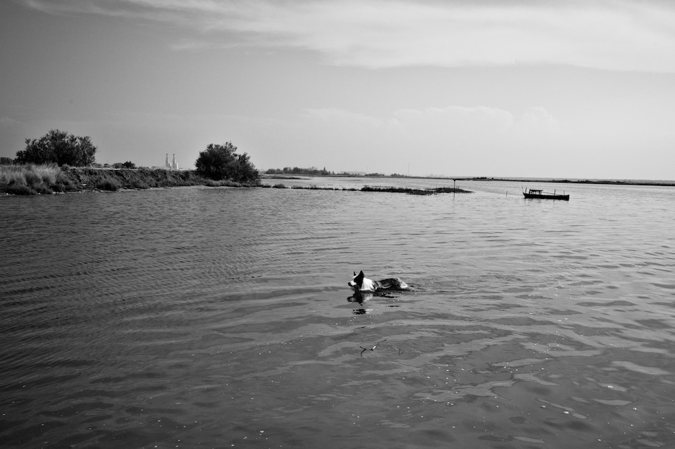 Cronache dal Deserto Rosso