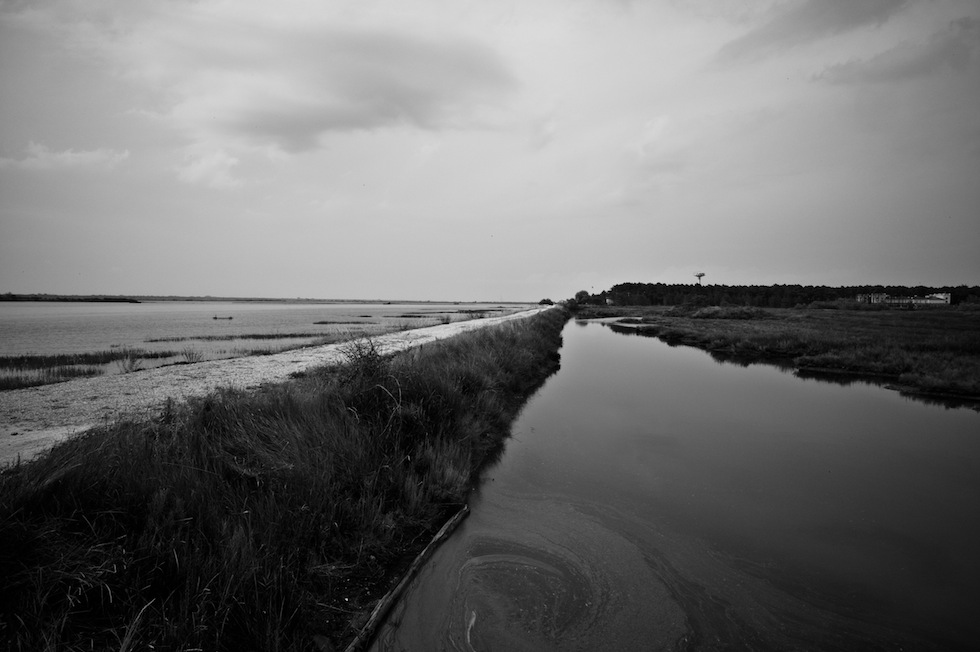 Fino quasi a sfiorarsi