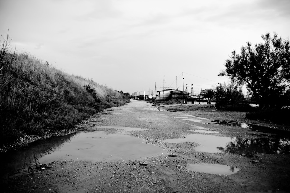 In cerca della terra