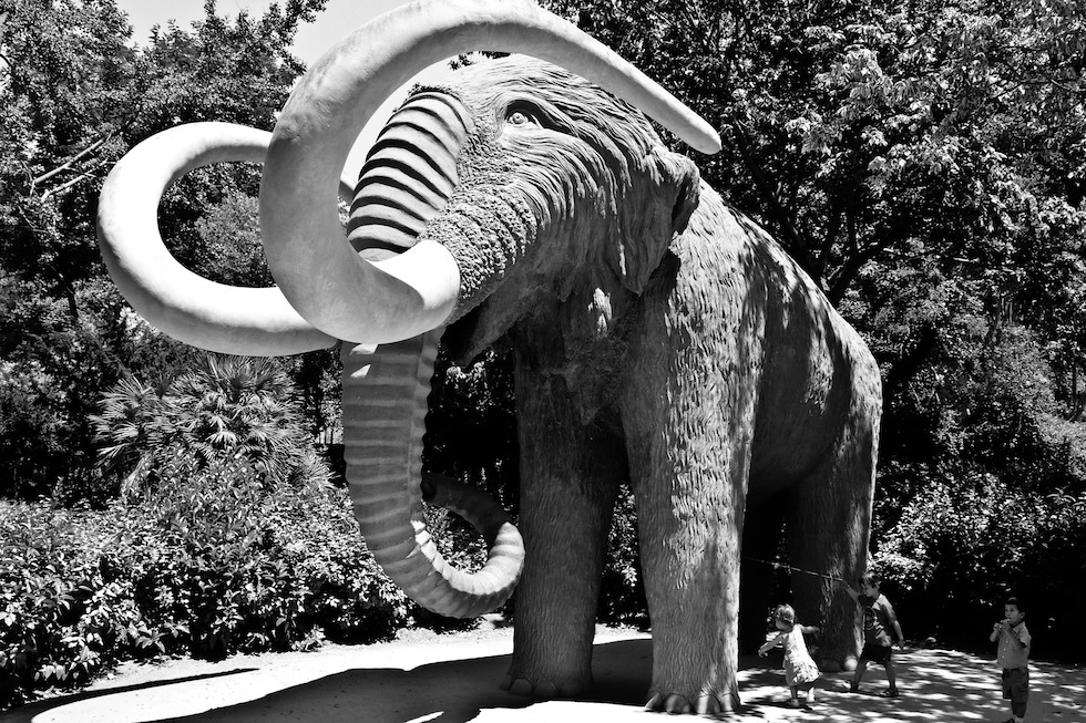 Non basta che sia sempre tutto reale