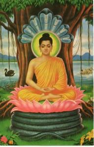 Il Budda della parrocchietta