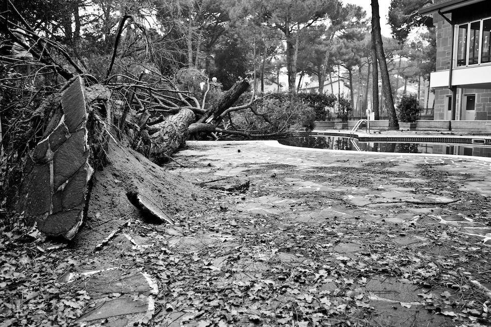 Zone temporaneamente autonome