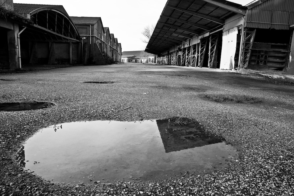 Gelidi spazi e lande desolate