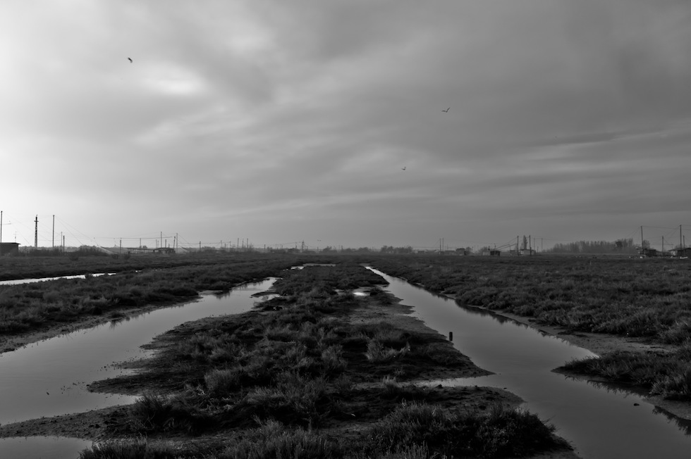 Cronache dal Deserto Rosso