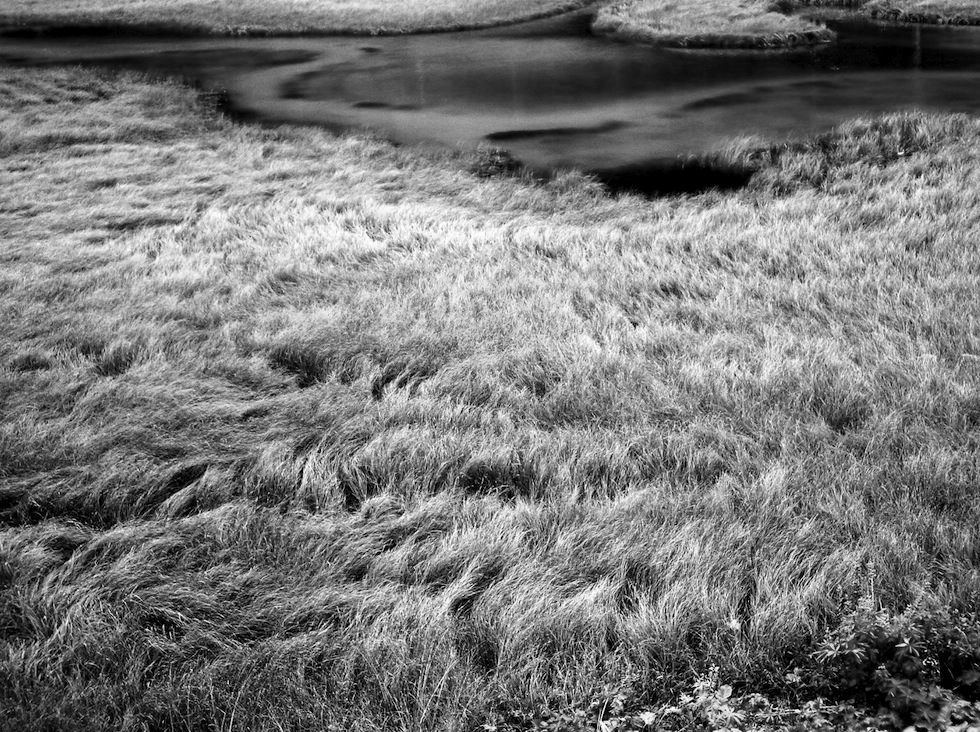 Cronache dal Deserto Rosso