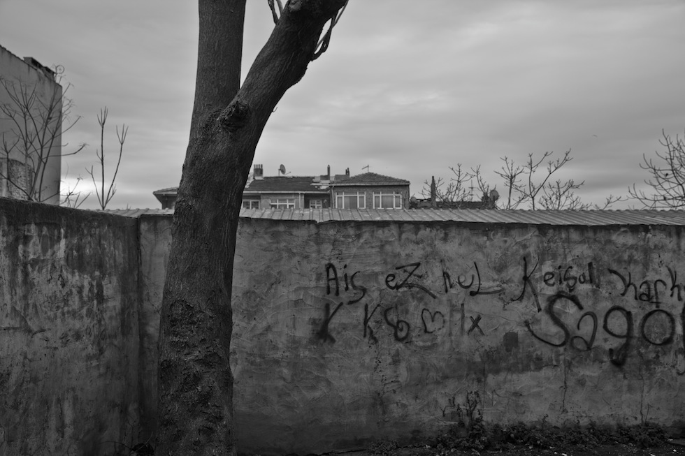 Perchè ogni albero è importante