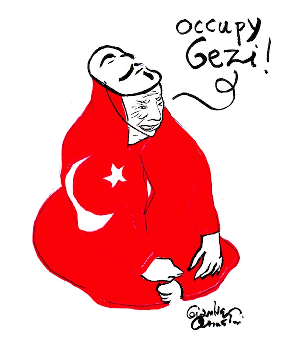 occupygezi11
