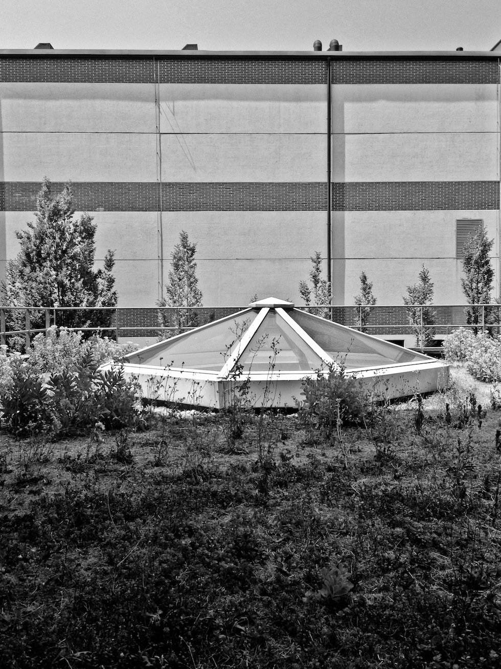 Altri mondi, altre vite